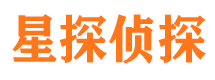 南县调查公司